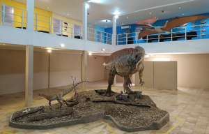 Araripina Brazil Museum