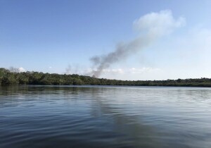 Alenquer Brazil Nature Reserve
