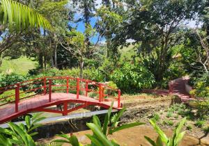 Alagoa Grande Brazil Historical site