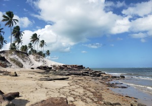 Pernambuco Brazil Beach