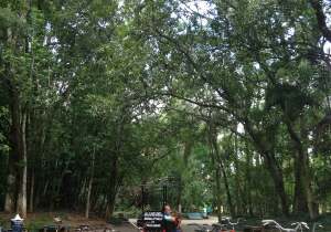 Parana Brazil Park