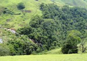 Minas Gerais Brazil State Park