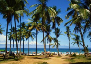 Bahia Brazil Beach