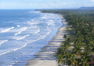 Urucuca Brazil Mountain