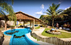 Ubata Brazil Wildlife Sanctuary