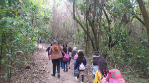 Sao Paulo Brazil Park