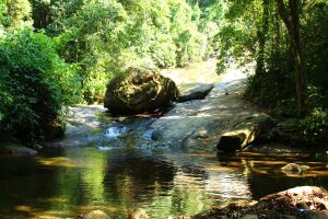 Rio Grande do Sul Brazil Park