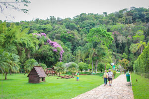 Sao Paulo Brazil Park
