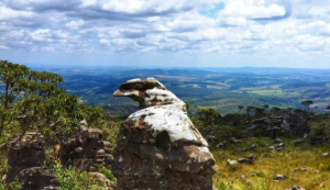 Tambau Brazil Mountain Summit