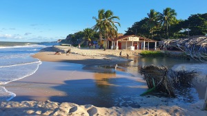 Bahia Brazil Beach