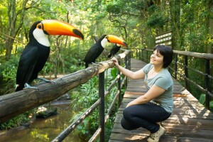 Sao Miguel do Iguacu Brazil Bird Park