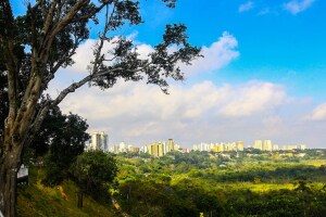 Sao Paulo Brazil Park