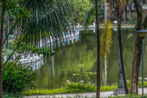 Minas Gerais Brazil Park