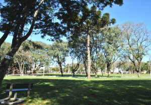 Parque Municipal Alfredo Leandro Carlson