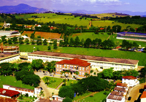 Brazil Educational Institution