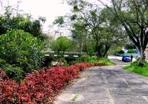 Rio Grande do Sul Brazil Park