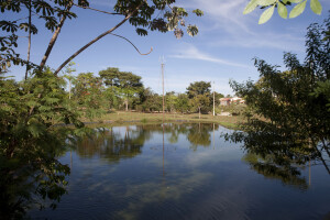 Parque das Araras