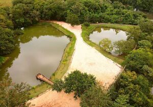 Parque Ecologico Municipal 