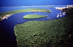 Santa Cruz Cabralia Brazil Nature Reserve