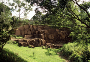 Sao Paulo Brazil Park