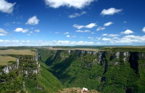 Rio Negro Brazil National Park