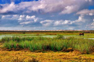 Rio Grande Brazil National Park