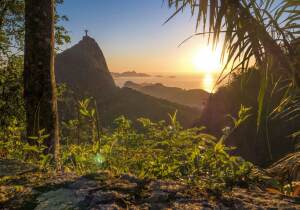 Tijuca National Park
