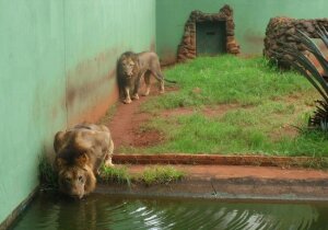 Ribeirao Preto Brazil Zoo