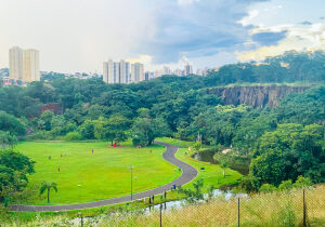Sao Paulo Brazil Park