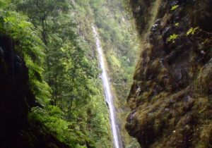 Bahia Brazil Waterfall