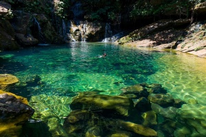 Bahia Brazil Ecological Park