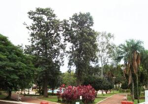 Regente Feijo Brazil Art gallery