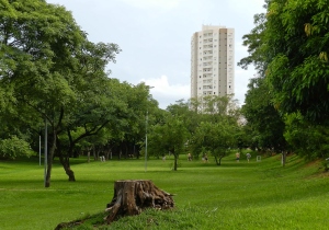 Sao Paulo Brazil Park