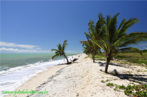 Bahia Brazil Beach