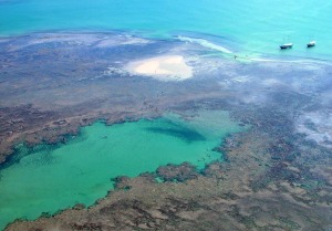 Bahia Brazil Park
