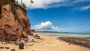 Bahia Brazil Beach