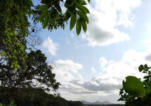 Porto Uniao Brazil Nature Reserve