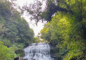 Rio Grande do Sul Brazil Park