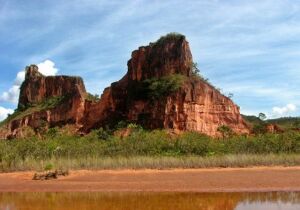 Ponta Pora Brazil Wildlife Reserve