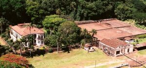 Pirassununga Brazil Farm