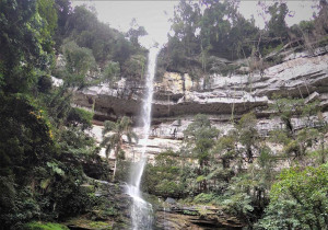 Sao Paulo Brazil Waterfall