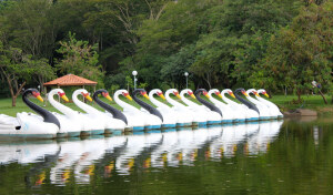 Sao Paulo Brazil Park