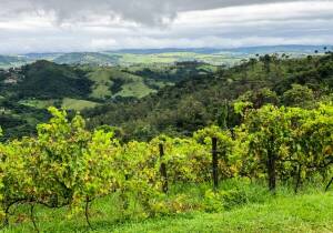 Mirante Vale dos Vinhedos