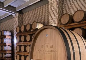 Casa Valduga Winery