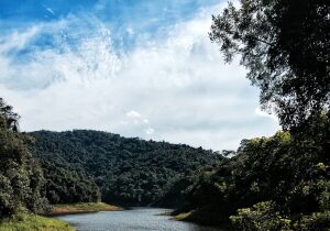 Piedade Brazil Nature Reserve