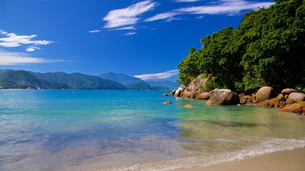 Trindade Beach