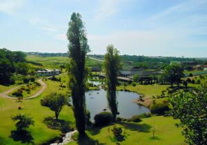 Paranavai Brazil Japanese Garden