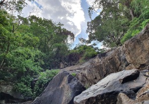 Rio de Janeiro Brazil Waterfall