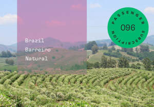 Paracatu Brazil Farm