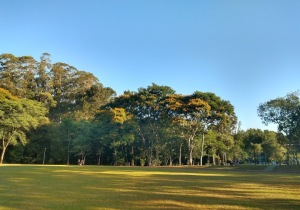 Rio Grande do Sul Brazil Park